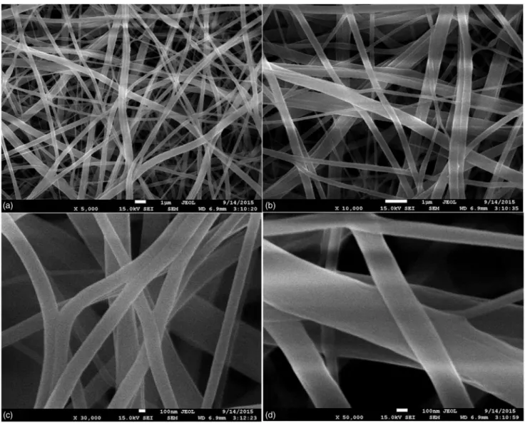 Table 1. Preparation parameters of PVA/Chitosan nanofiber and observations.