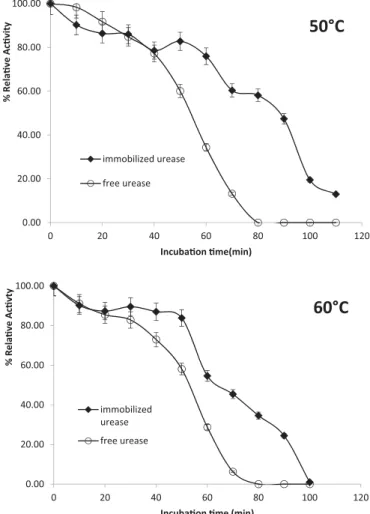 Figure 6. Optimum temperature curves of free and urease immobilized PVA/ Chitosan nanofibres (0.75 mg/mL urease amount, 15 mg fiber amount, 30 min adsorption time, 20 mL GA, pH 7 phosphate buffer).