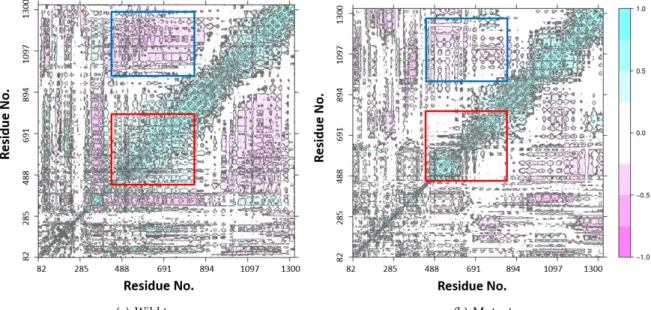 Figure 6. Dynamic cross correlation map for SF3B1 is shown in (a) for the wild type system