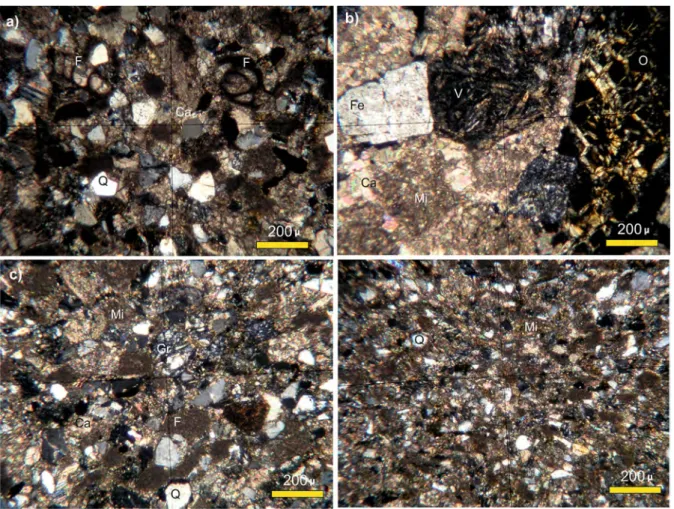 Fig. 4 Microview of the Elmalı formation clastics a Fine- Fine-grained sandstone including fossil fragment (F), and quartz (Q) binded with calcite cement (Ca)