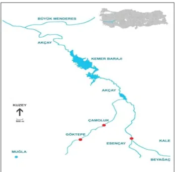 Table 1. Meat productivity in S. cephalus population from upper  Akcay River. 