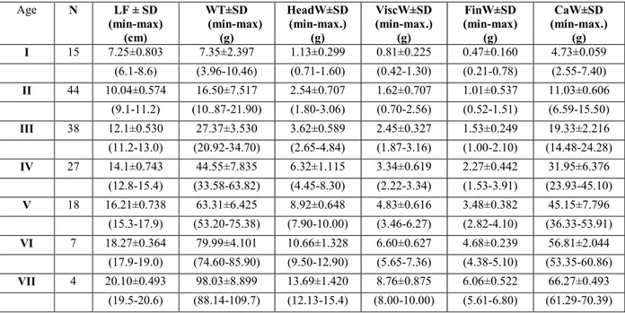 Table 2. Meat productivity in S. cephalus population from upper Akcay River.  Age  N  LF ± SD  (min-max)  (cm)  WT±SD  (min-max) (g)  HeadW±SD (min-max.) (g)  ViscW±SD (min-max.) (g)  FinW±SD  (min-max) (g)  CaW±SD  (min-max.) (g)  I  15  7.25±0.803  7.35±