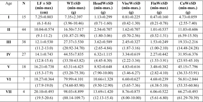 Table 2. Meat productivity in S. cephalus population from upper Akcay River.  Age  N  LF ± SD  (min-max)  (cm)  WT±SD  (min-max) (g)  HeadW±SD (min-max.) (g)  ViscW±SD (min-max.) (g)  FinW±SD  (min-max) (g)  CaW±SD  (min-max.) (g)  I  15  7.25±0.803  7.35±