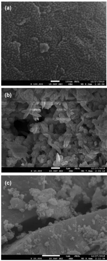 Figure  1  represents SEM images of bare  MoS 2 , binary (ZM, 
