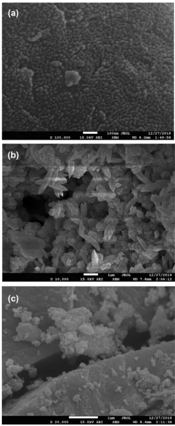 Figure  1  represents SEM images of bare  MoS 2 , binary (ZM, 
