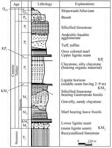Fig. 2. Generalized stratigraphy of Soma coal basin [9].