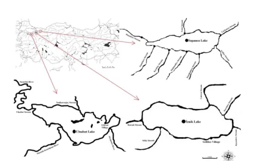 Figure  1.  Lakes  where  Proterorhinus  semilunaris  and  Neogobius  fluviatilis  populations  were  sampled  in  Marmara 