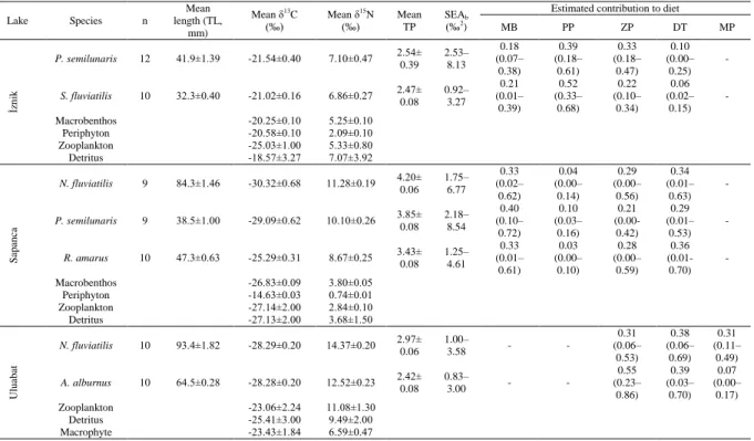 Table 2. Mean lengths, δ 13 C, δ 15