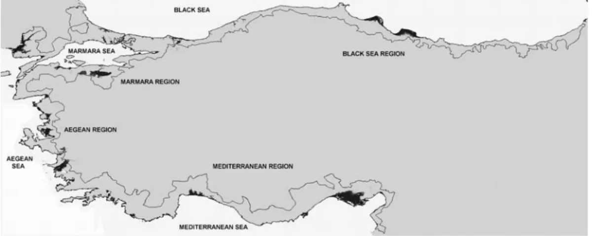 Fig. 4 Coastal areas below 10 m elevation above the present mean sea level