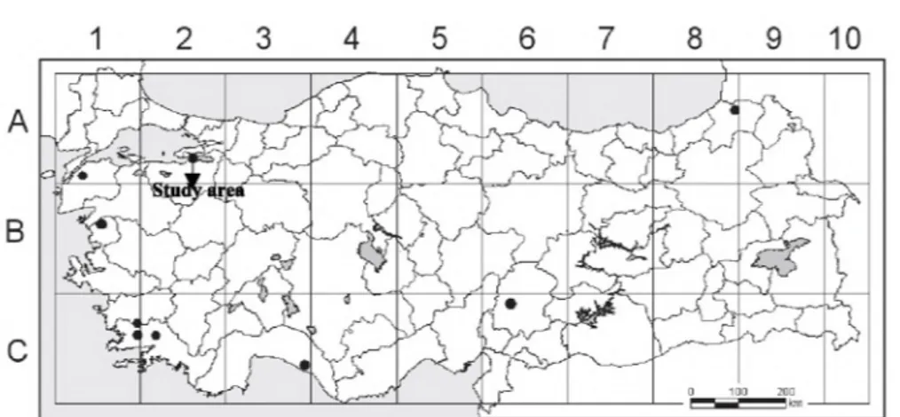 Fig 1. Map  showing the provincial distribution o f the natural  forests o f  Pinus pinea   in Turkey  and the study area