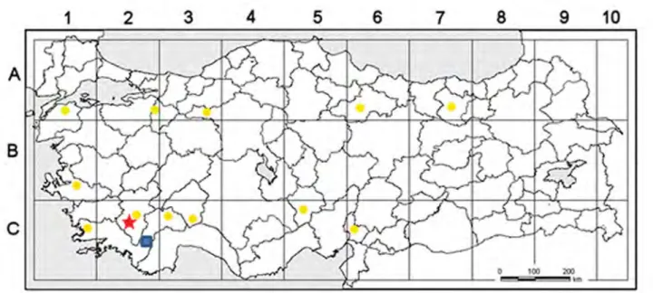 FIGURE 2. Known distribution of Viola denizliensis (red star), V. dirimliensis (blue square) and V