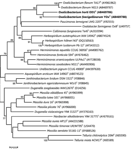 Fig. 1. Phylogenetic tree, based on 