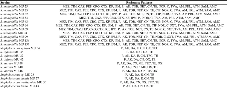 Table 1: Antibiotic resistance patterns of S. maltophilia and Staphylococcus species. 
