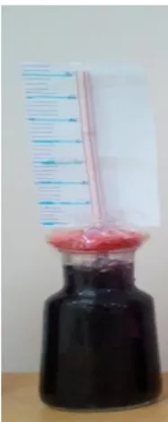 Şekil 4b. Öğretmen adayı tasarımı 