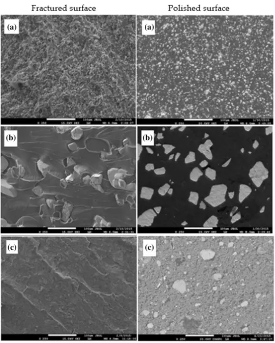 Fig. 3    SEM micrographs  (× 250) of composite polished  surfaces and fractured surfaces  (a 5-PBO, b 5-WO, c 5-FEO)