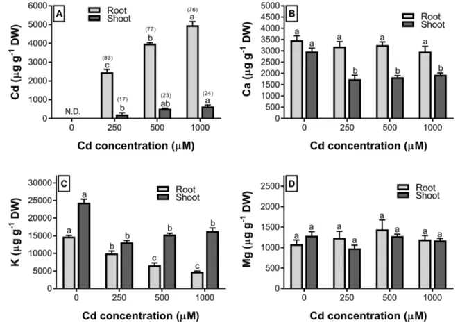 Table 2    Effects of different concentrations of Cd on biochemical parameters of wheat (Bayraktar 2000) seedlings