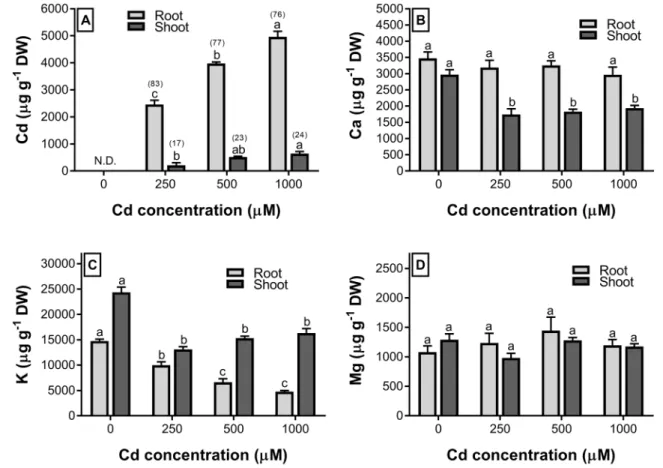Table 2    Effects of different concentrations of Cd on biochemical parameters of wheat (Bayraktar 2000) seedlings