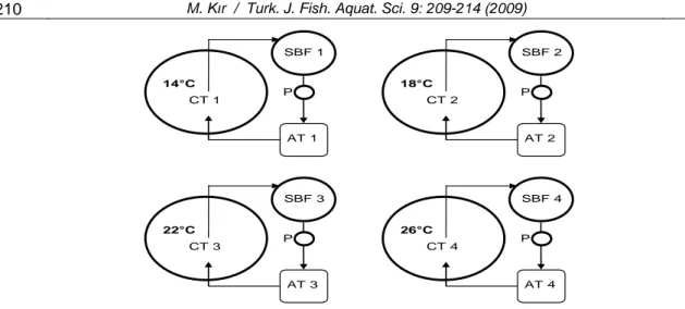 Figure 1. Recirculating shrimp systems used in the  experiment. CT: Culture tank, SBF: Submerged biofilter,  AT: Aeration tank