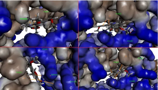 Figure 11. Protoberberine alkaloids in binding pocket with 3D structure of receptor. A) berberine b)  