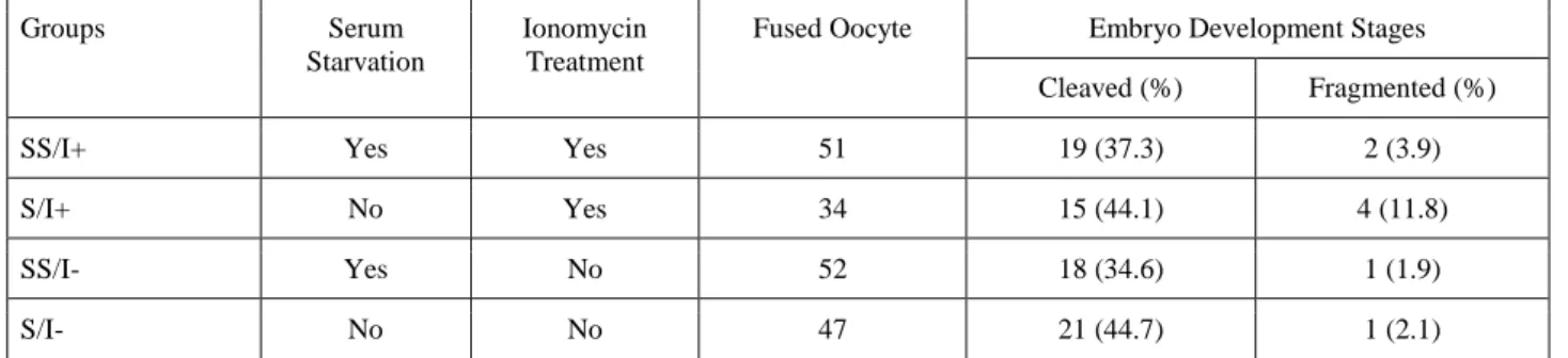 Table 1. Development rates of SCNT embryos in vitro  Tablo 1. SCNT embriyolarının in vitro gelişim oranları 