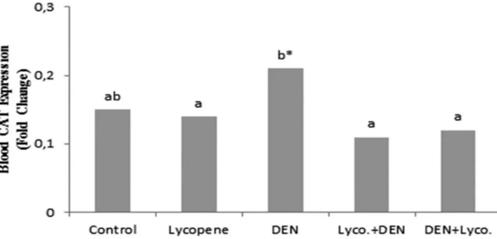 Figure 1. The effect of lycopene supplementation on blood CAT expression level (*P &lt; 0.05)   Şekil 1