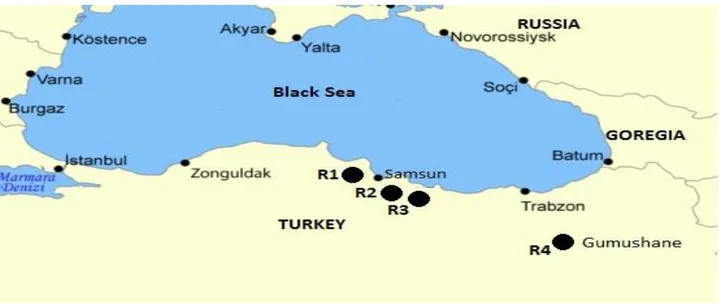 Figure 1. Regions where the experimental colonies were placed during the summer.  Şekil 1