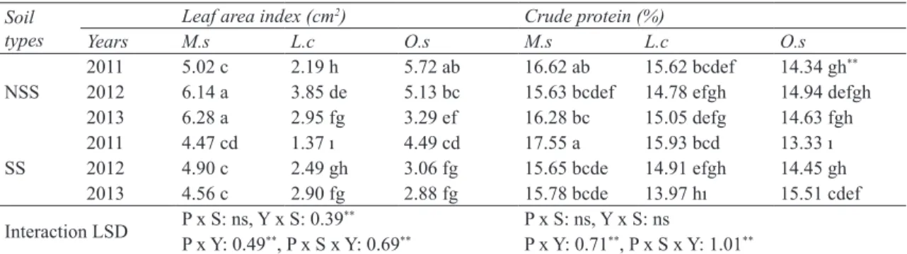 Table 3- Leaf area index (cm 2 ) and the crude protein contents (%) of forage legume species grown on saline  and non-saline soil conditions during the three years