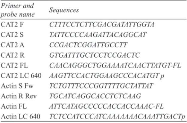Table 1- Primer and probe sequences of CAT and  Actin