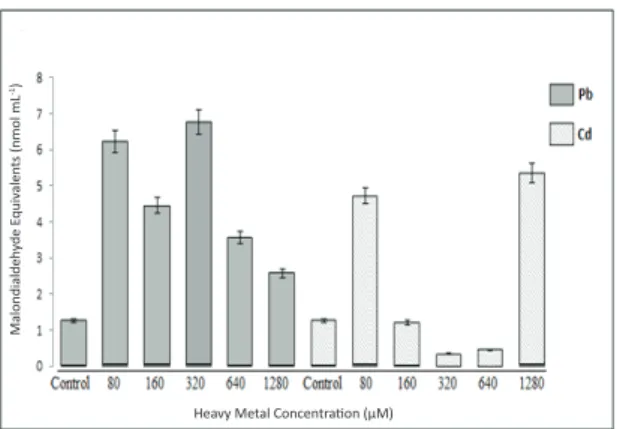 Figure  1-  Lipid  peroxidation  (malondialdehyde,  MDA content) in the total tissues of tomato plants  exposed to different concentrations of Pb 2+  and Cd 2+