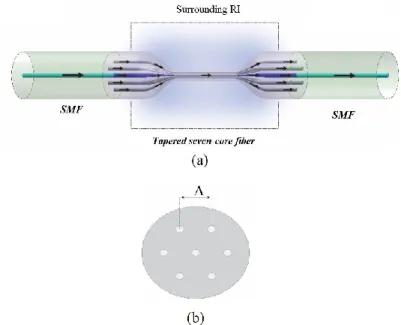 Figure 1 . (a) the schematic diagram of the sensor, (b) a cross- sectional view of the seven  core multicore fiber