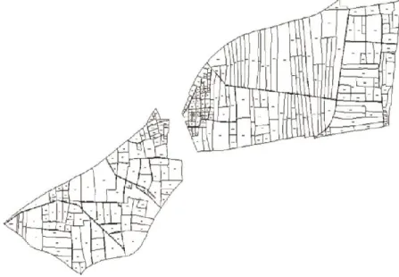Figure 3. Cadastral state of Üçhüyük  2.3  Genetic Algorithm (GA) 