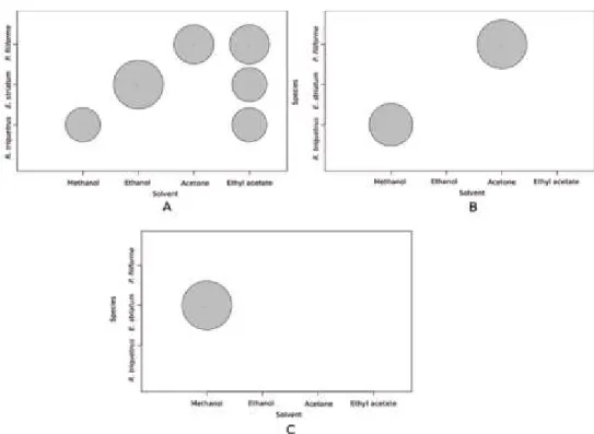 Figure 2. Inhibition zones of extracts of three moss species prepared with various  solvents against