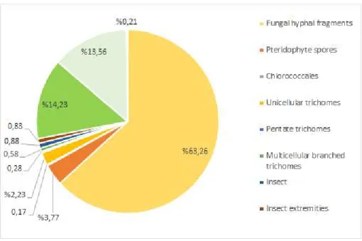 Figure 4. Distribution of biological particles, 2015 
