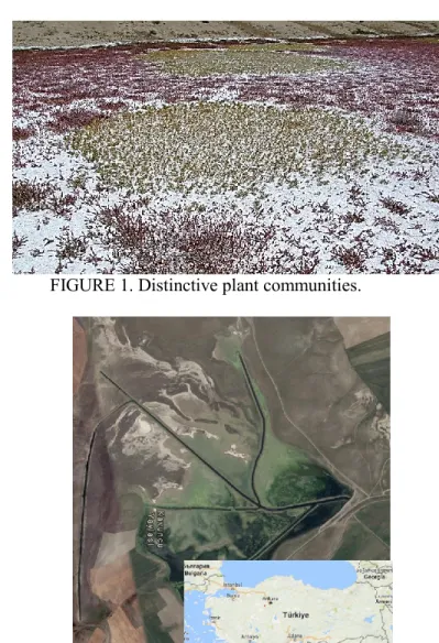 FIGURE 2. Map of Turkey (      study area) and satellite view of the study area. 