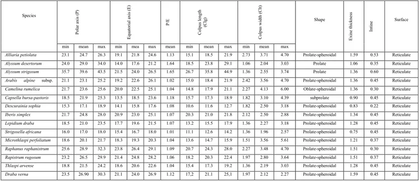TABLE 1. Pollen morphological features of studied Brassicaceae taxa (value in µm).  Species  Polar axis (P) Equatorial axis (E)  P/E Ratio  Colpus length  (Clg) Colpus width (Clt) Shape  Exine thickness Intine Inten thickness Surface 