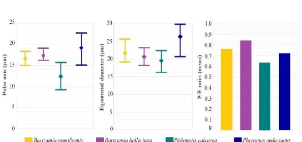 TABLE 2. The spore morphological parameters (values in μm). 