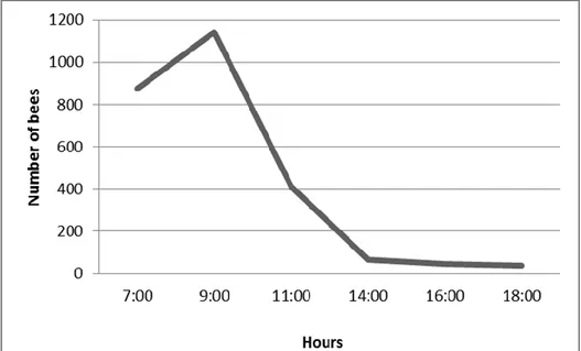 FIGURE 1. Daily abundance of the foraging bees. x axis is representing the number  of bees; y axis is representing the hours of observations