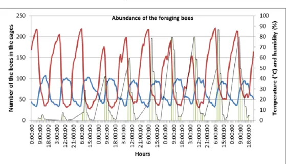 FIGURE  2.  Abundance  of  the  foraging  bees;  red  line:  humidity,  blue  line:  temperature, green bars: total number of the foraging bees.