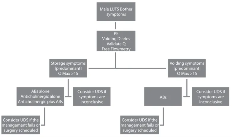 Figure 4. A flow diagram of the assessment of male LUTS