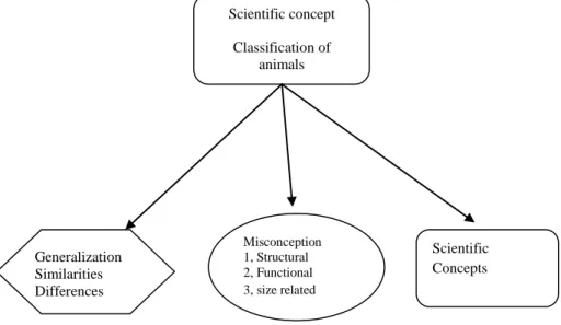 Figure 1. Categories of responses of the students about classification of the 