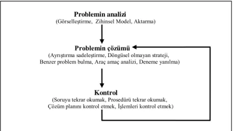 Şekil 9: Maple ortamında problem çözme stratejilerinin kullanımı. 