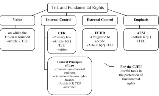 Figure 10: ToL and Fundamental Rights 