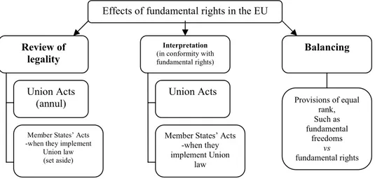 Figure 12: Effects of Fundamental Rights in the EU Legal Order 