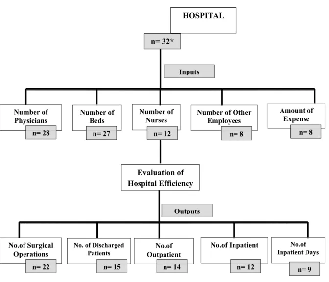 Figure 5. The Summary ofInput and Output Variables of Publications Evaluated The Hospital Efficiency 