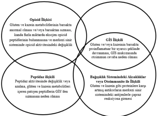 Şekil 1. Otizm Spektrum Bozukluklarında Eliminasyon Diyetleri 25