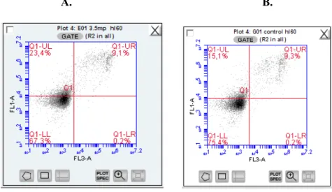 Şekil 1. A.5x10 -3  M MP uygulanan hücre populasyonunun Anneksin V ve PI ile işaretlenmiş Hücre Populasyonunun  Dağılımı