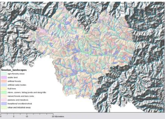 Figure 6. Landscape structure in a vertical perspective - the main landscape functions in land use