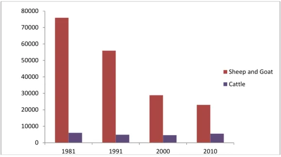 Figure 5. Decrease in livestock numbers with the passage of time                         Source: www.tuik.gov.tr 