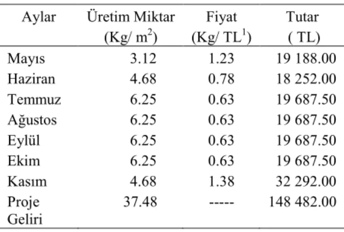 Çizelge 9. Đşletme dönemi gelirleri. 