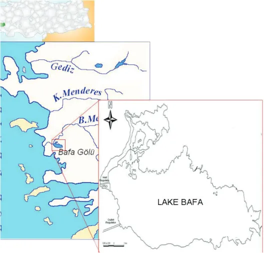 Figure 1. The location of study area. 